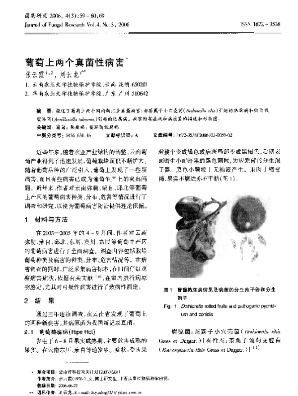 葡萄上两个真菌性病害