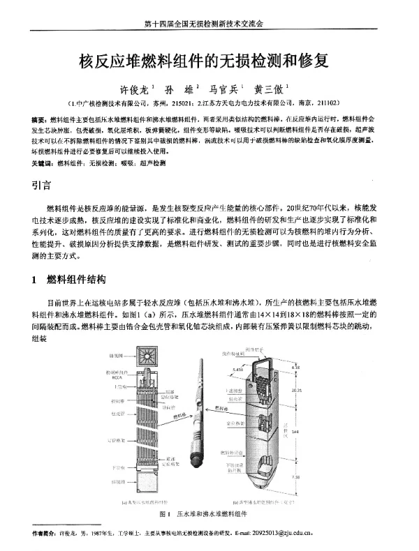 核反应堆燃料组件的无损检测和修复
