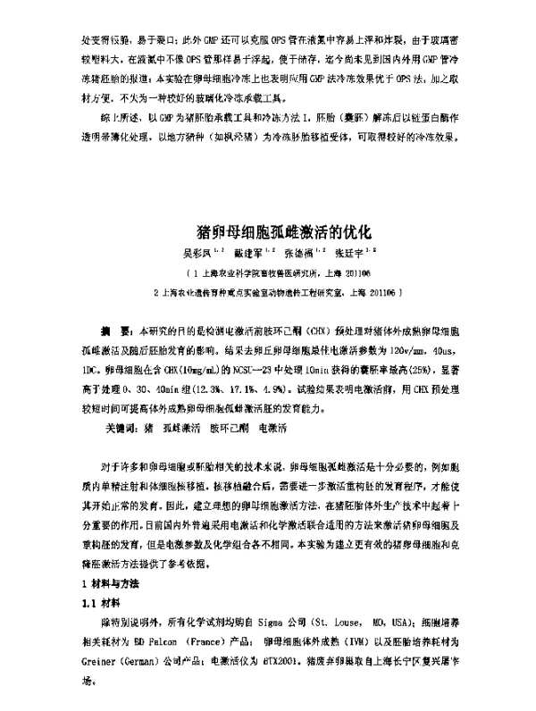 猪卵母细胞孤雌激活的优化