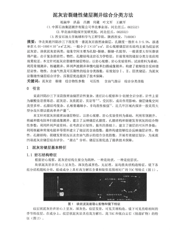 泥灰岩裂缝性储层测井综合分类方法
