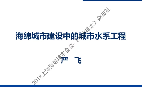 海绵城市建设中的城市水系工程