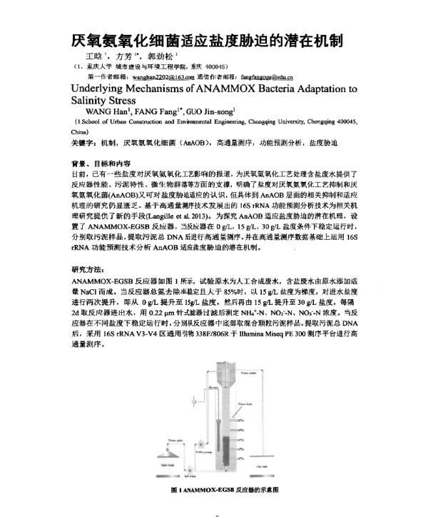 厌氧氨氧化细菌适应盐度胁迫的潜在机制