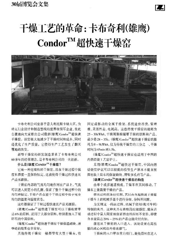 干燥工艺的革命卡布奇利(雄鹰)CondorTM超快速干燥窑