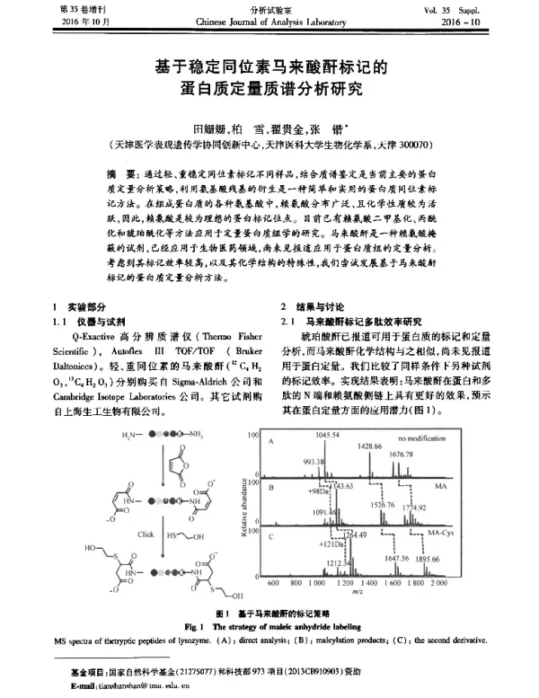 基于稳定同位素马来酸酐标记的蛋白质定量质谱分析研究