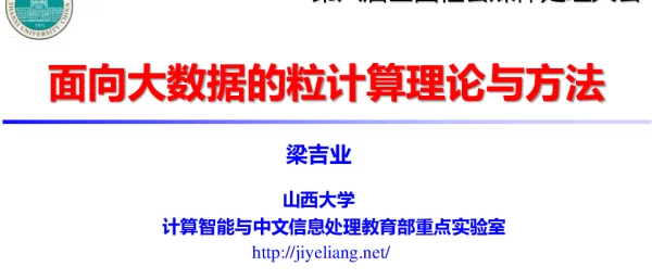 面向大数据的粒计算理论与方法