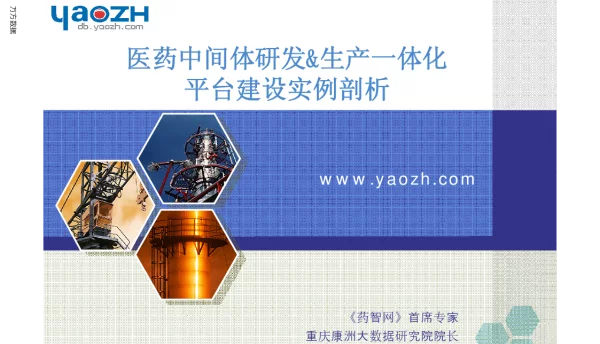 医药中间体研发&生产一体化平台建设实例剖析