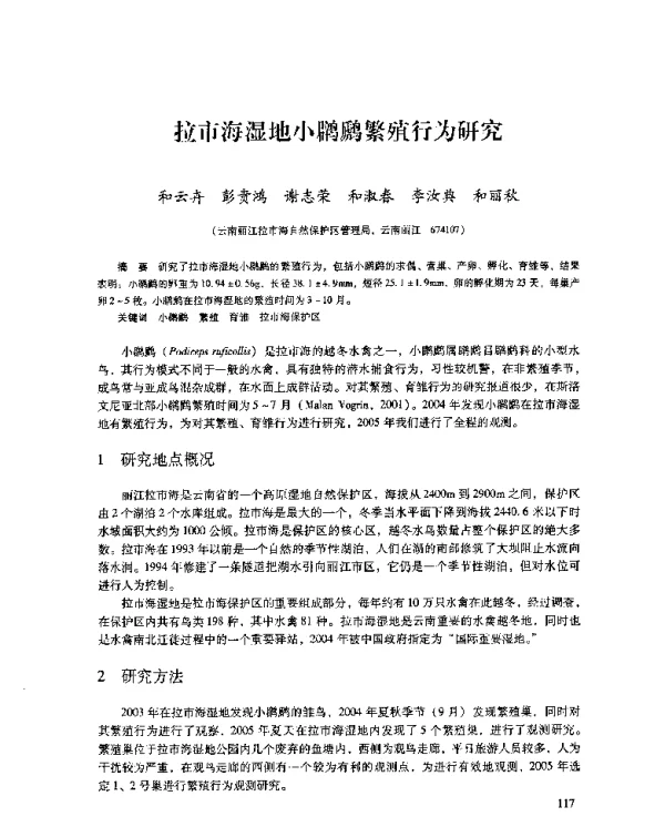 拉市海湿地小繁殖行为研究