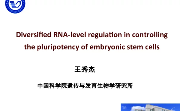 DiversifiedRNA-levelregulationincontrollingthepluripotencyofembryonicstemcells