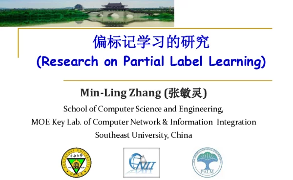 偏标记学习的研究