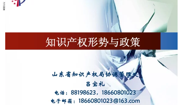知识产权形势与政策