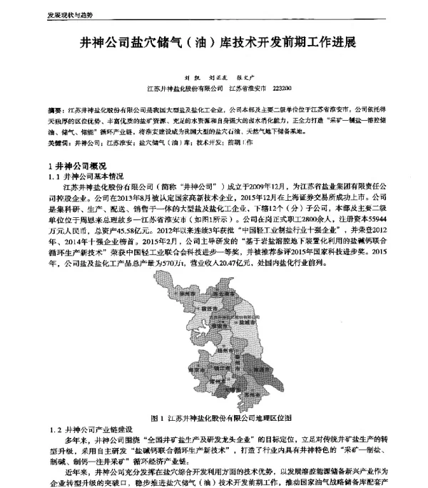 井神公司盐穴储气(油)库技术开发前期工作进展