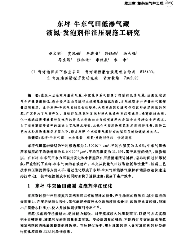 东坪-牛东气田低渗气藏液氮-发泡剂伴注压裂施工研究