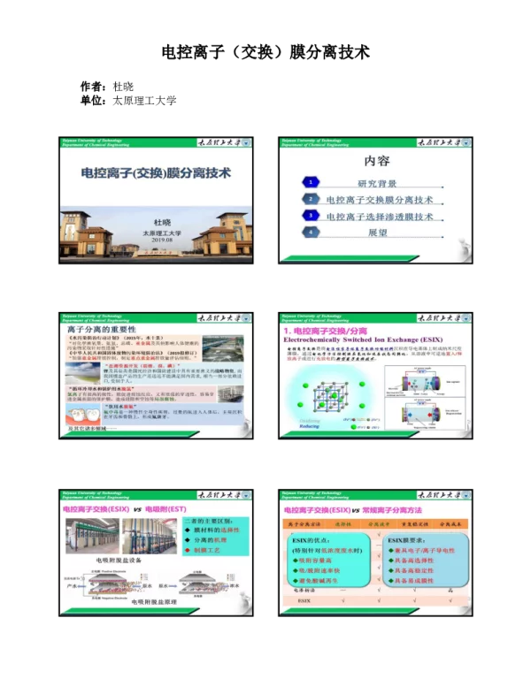电控离子(交换)膜分离技术