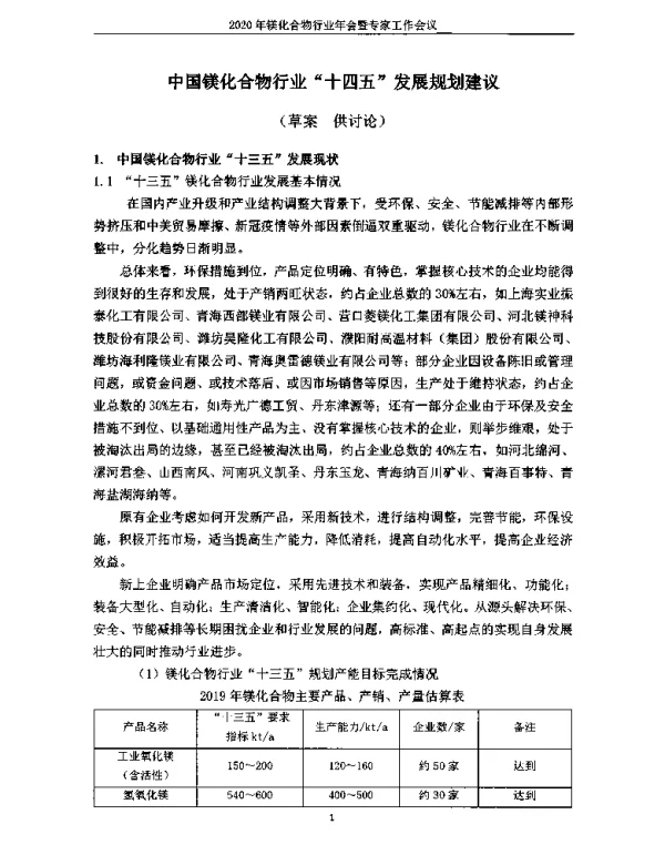 中国镁化合物行业十四五发展规划建议
