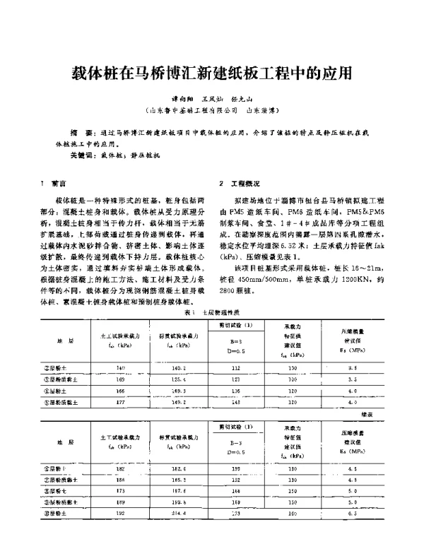 载体桩在马桥博汇新建纸板工程中的应用
