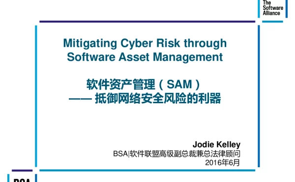 软件资产管理(SAM)--抵御网络安全风险的利器