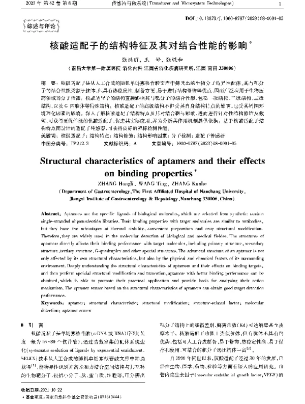 核酸适配子的结构特征及其对结合性能的影响