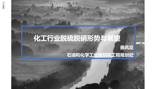 化工行业脱硫脱硝形势与展望