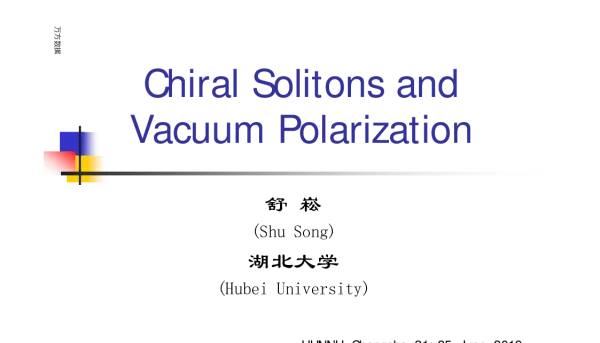 ChiralSolitonsandVacuumPolarization