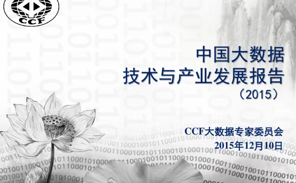 中国大数据技术与产业发展报告(2015)