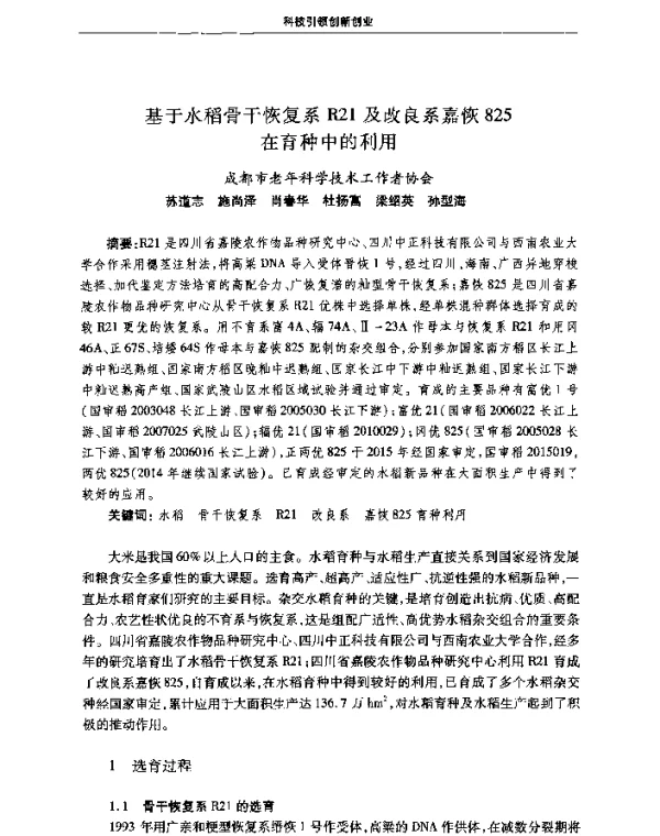 基于水稻骨干恢复系R21及改良系嘉恢825在育种中的利用