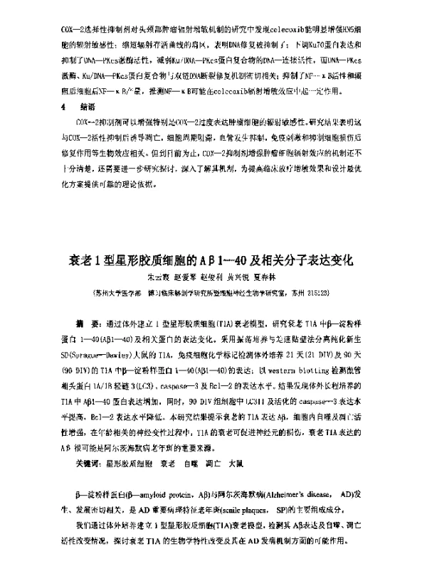 衰老1型星形胶质细胞的Aβ1-40及相关分子表达变化