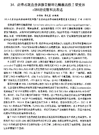 斜带石斑鱼垂体腺苷酸环化酶激活肽Ⅰ型受体cDNA的克隆和及表达