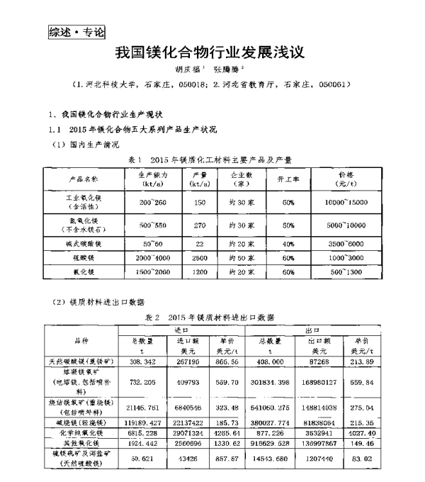 我国镁化合物行业发展浅议