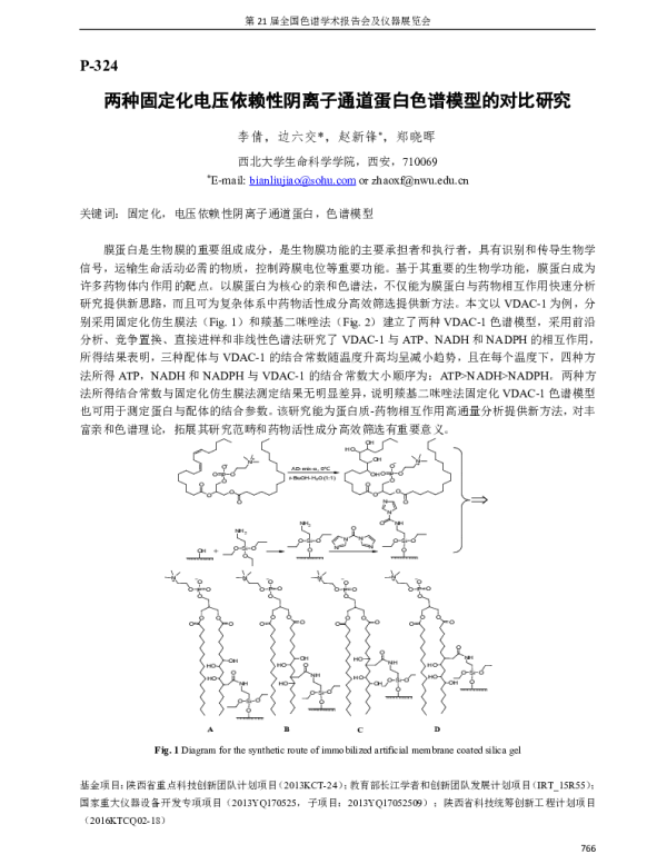 两种固定化电压依赖性阴离子通道蛋白色谱模型的对比研究