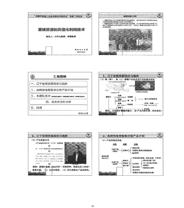 菱镁资源的高值化利用技术