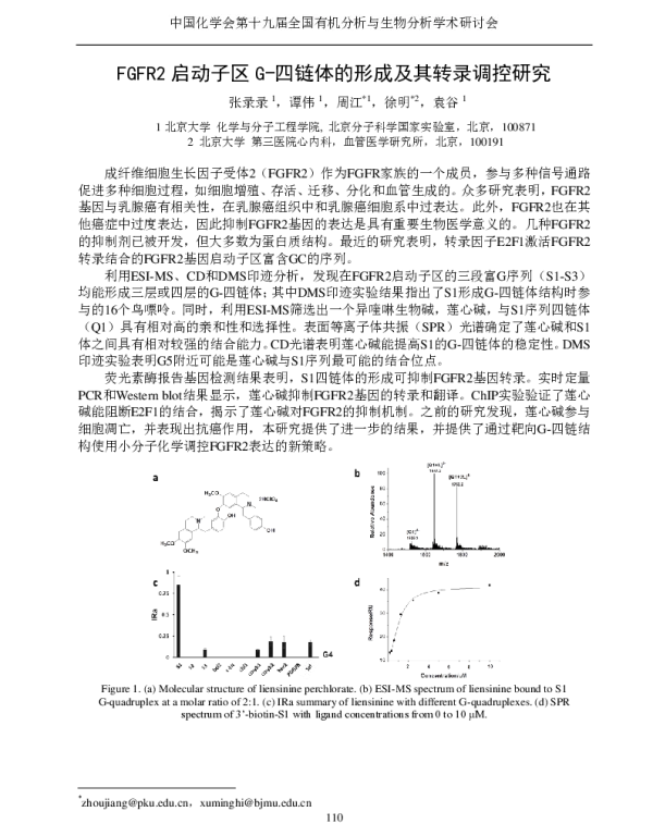 FGFR2启动子区G-四链体的形成及其转录调控研究