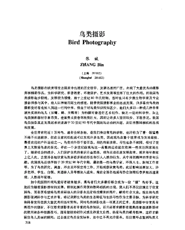 鸟类摄影