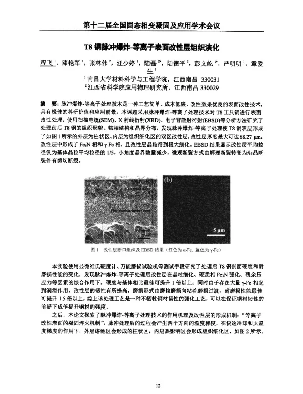 T8钢脉冲爆炸-等离子表面改性层组织演化