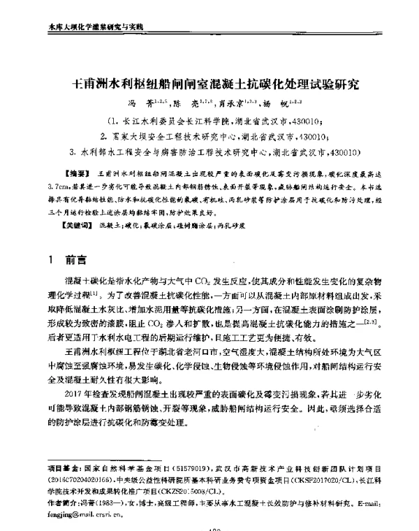 王甫洲水利枢纽船闸闸室混凝土抗碳化处理试验研究