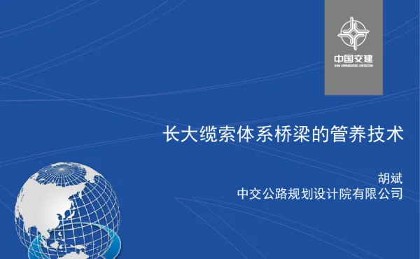长大缆索体系桥梁的管养技术