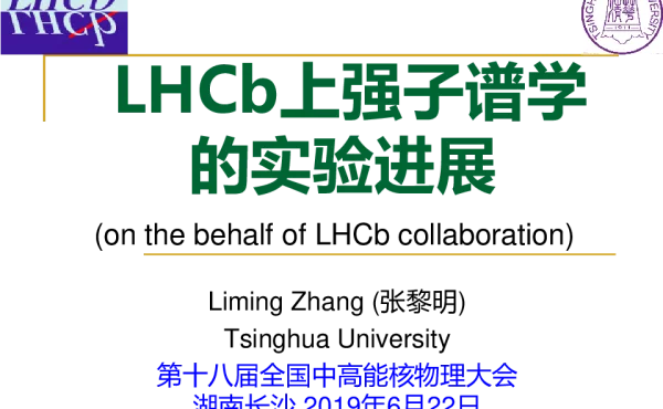 LHCb上强子谱学的实验进展