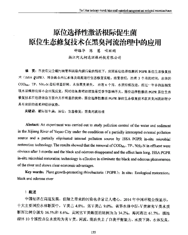 原位选择性激活根际促生菌原位生态修复技术在黑臭河流治理中的应用