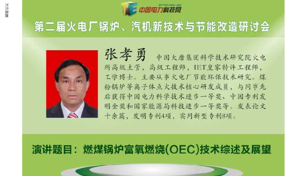 燃煤锅炉富氧燃烧(OEC)技术综述及展望