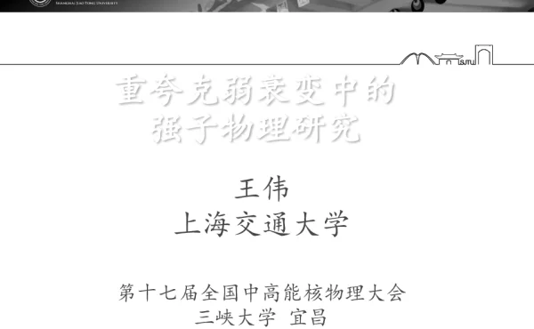 重夸克弱衰变中的强子物理研究