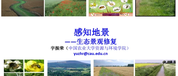 感知地景--生态景观修复