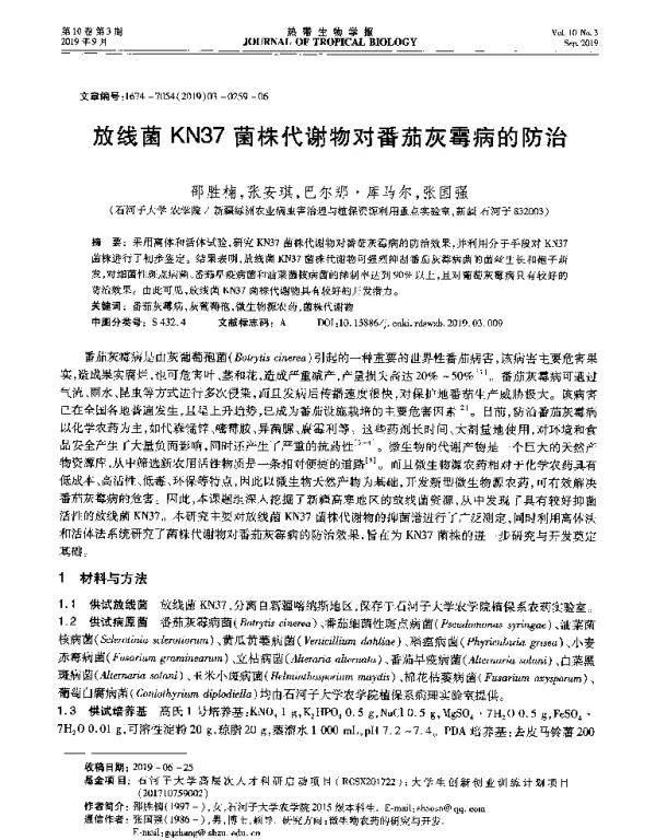放线菌KN37菌株代谢物对番茄灰霉病的防治