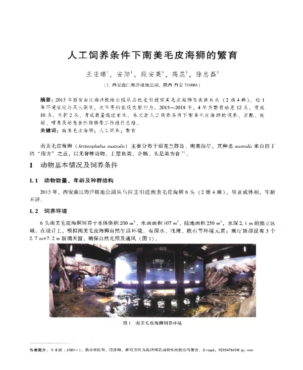 人工饲养条件下南美毛皮海狮的繁育