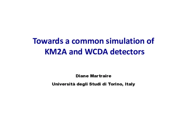 TowardsacommonsimulationofKM2AandWCDAdetectors
