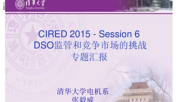CIRED2015-Session6DSO监管和竞争市场的挑战专题汇报