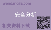 安全分析