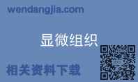 显微组织