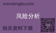 风险分析