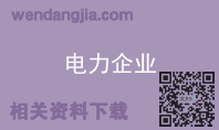 电力企业