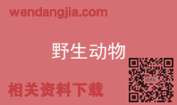 野生动物