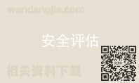 安全评估